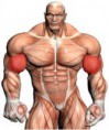 15 Dicas porque você não ganha massa muscular.